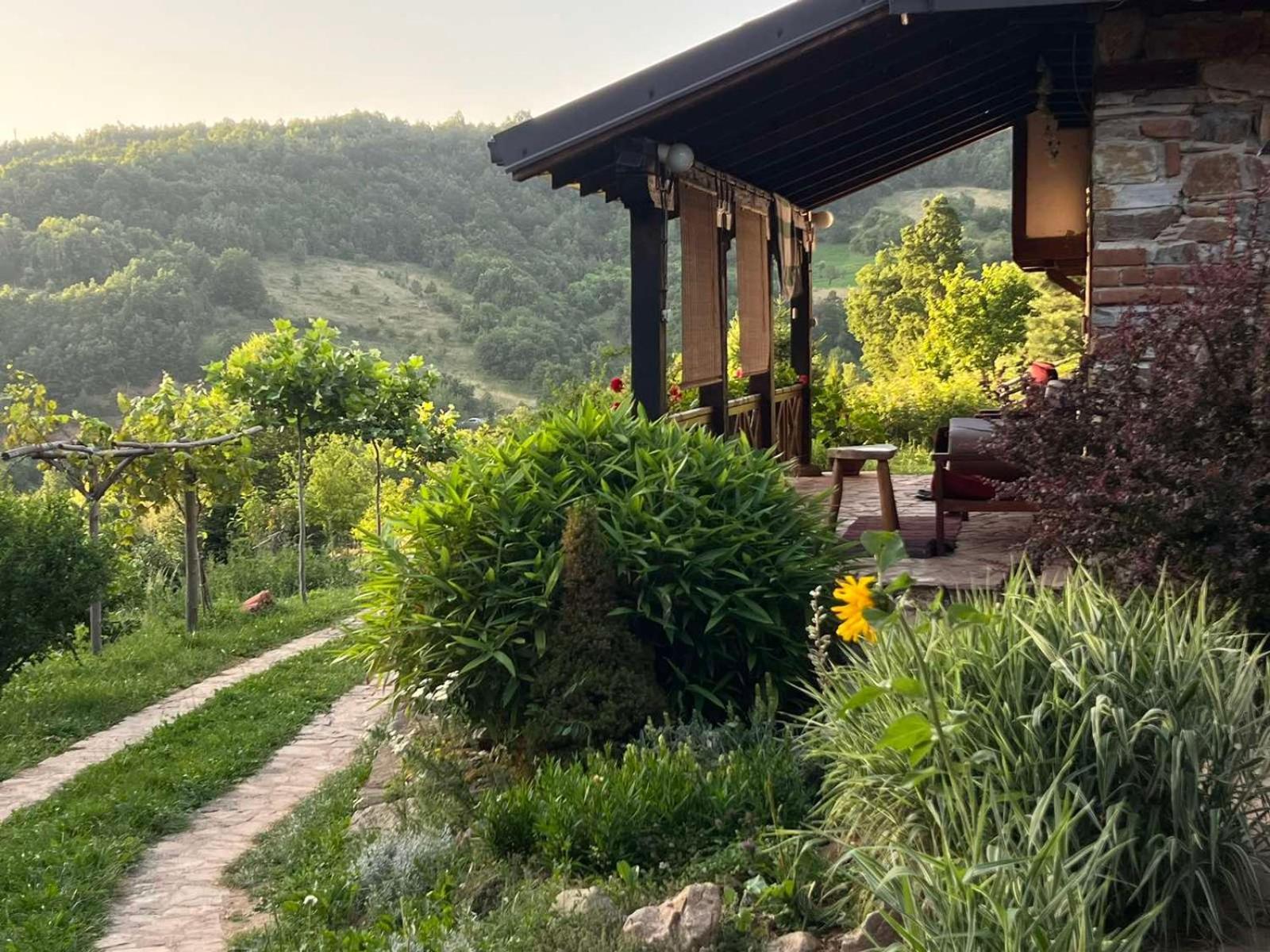 Traditional Cottage - Vila Samovila Delcevo Zewnętrze zdjęcie