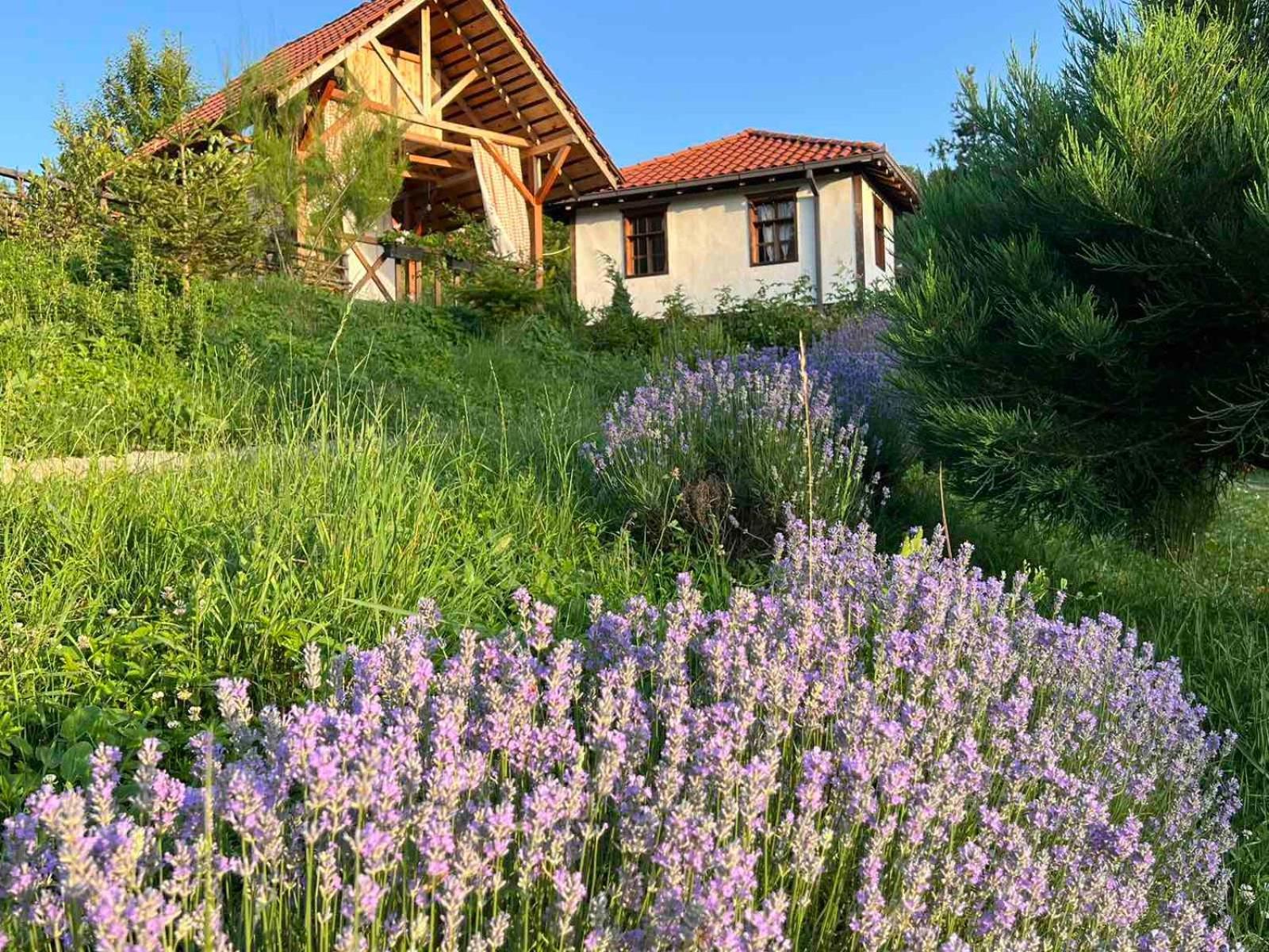 Traditional Cottage - Vila Samovila Delcevo Zewnętrze zdjęcie