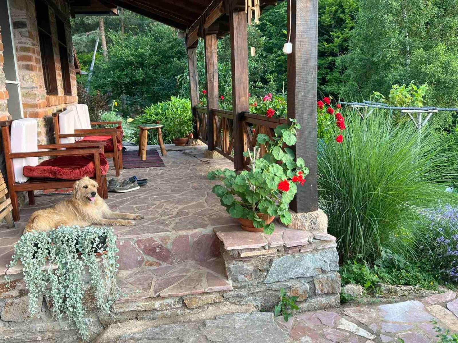 Traditional Cottage - Vila Samovila Delcevo Zewnętrze zdjęcie